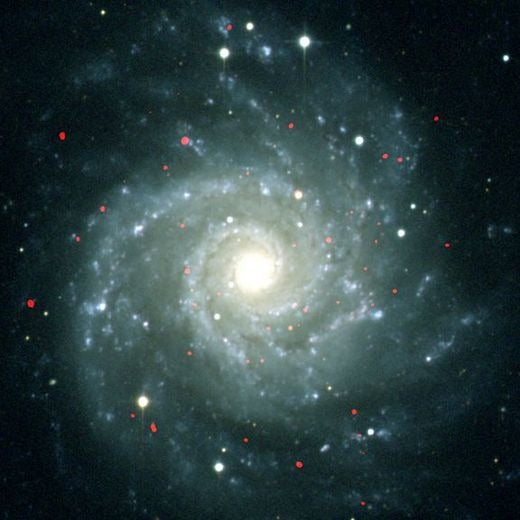 Galaxy